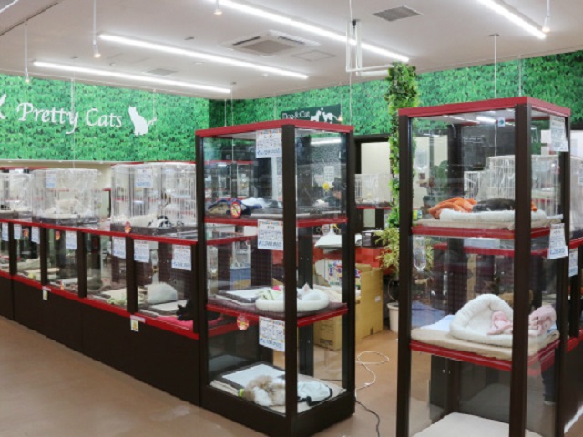 アルバイト パート ホームセンター ペットコーナー ジョイフルエーケー 屯田店の求人情報 Tonxton Job とんとんジョブ